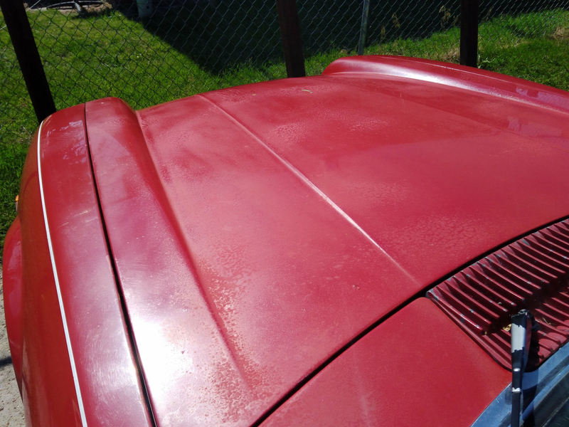 Illustration for article titled Jaguar Paint Correction: Polishing a Turd